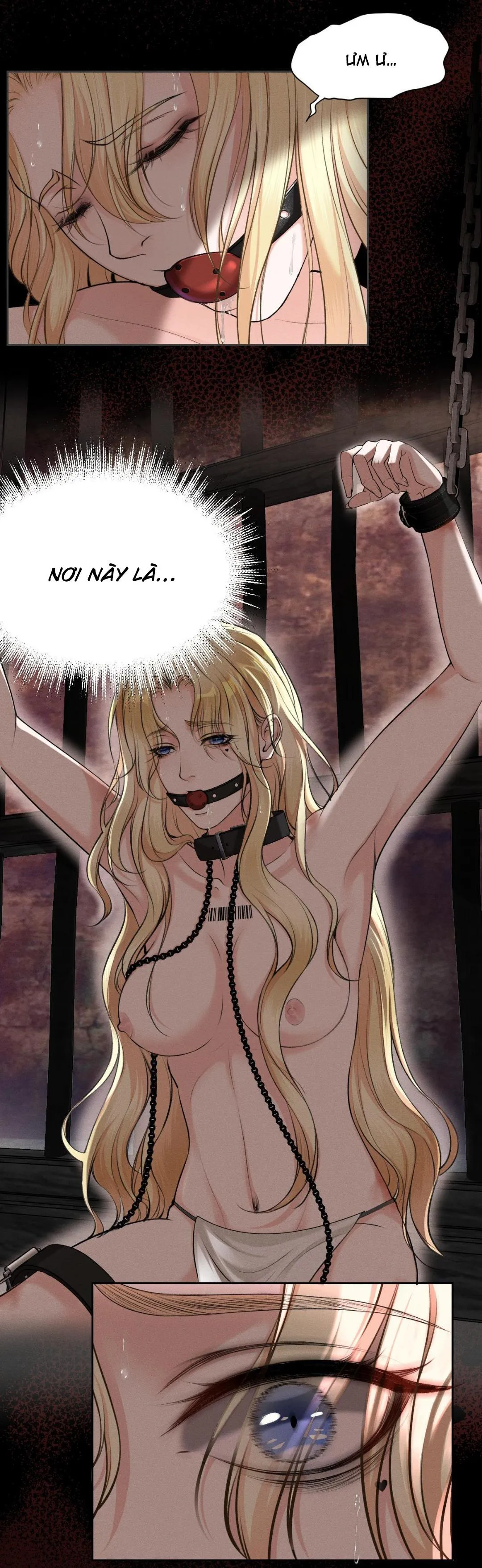 Lông Vũ Ngược Sáng Chapter 15 Trang 3