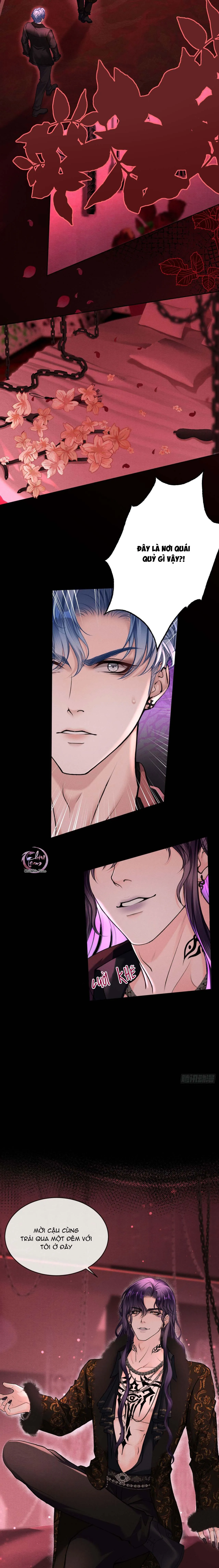 Lông Vũ Ngược Sáng Chapter 17 Trang 5