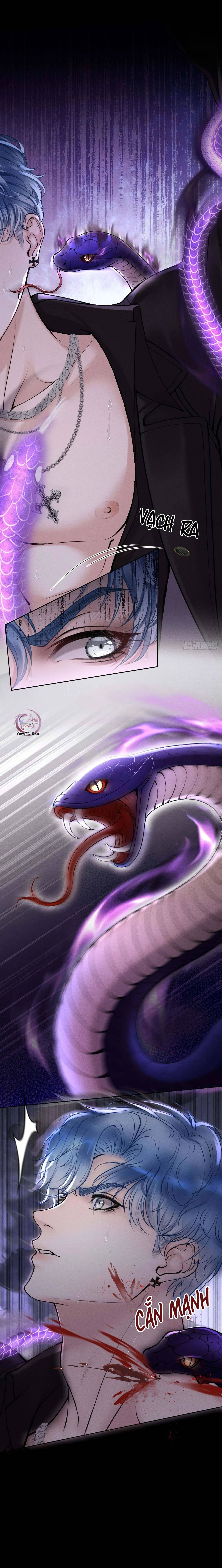 Lông Vũ Ngược Sáng Chapter 17 Trang 8