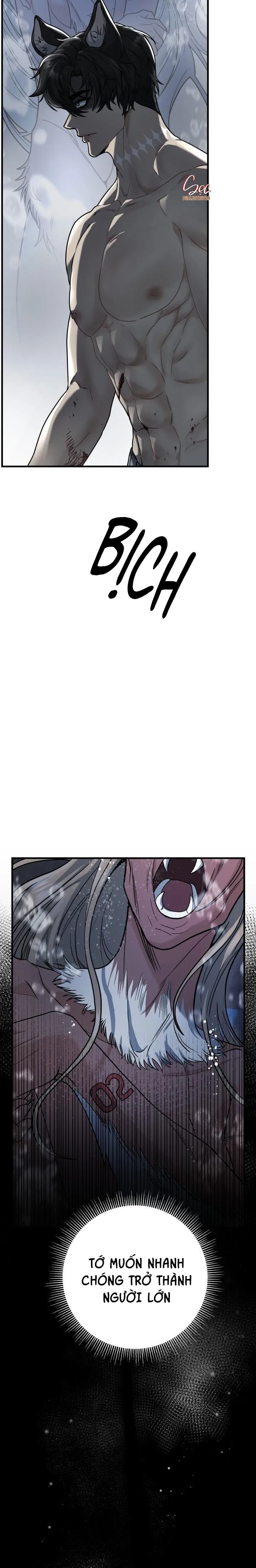 LOVE AND HATRED Chapter 1 Trang 4