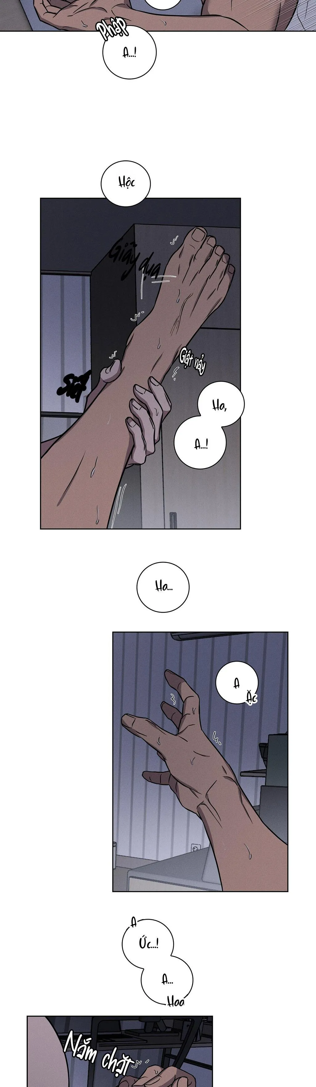 LOVE GYM Chapter 16 Trang 12