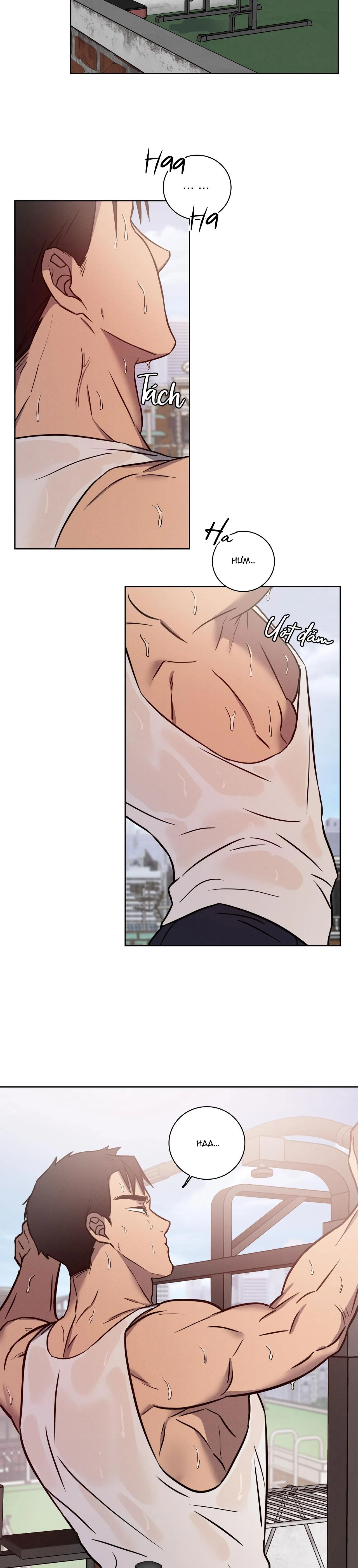 LOVE GYM Chapter 22 Trang 4