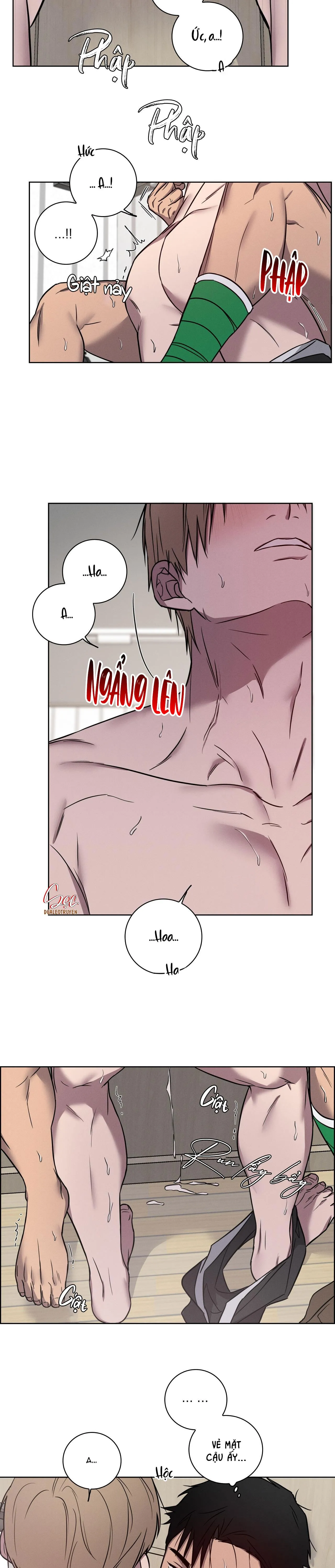 LOVE GYM Chapter 25 Trang 15