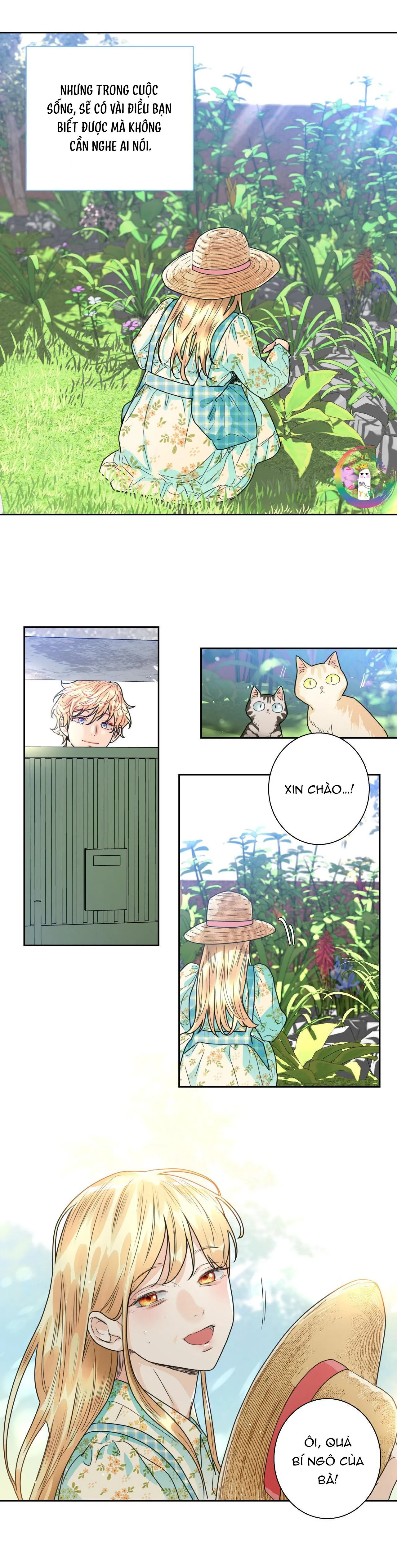 Love is an illusion! Superstar Chapter 4 Trang 13