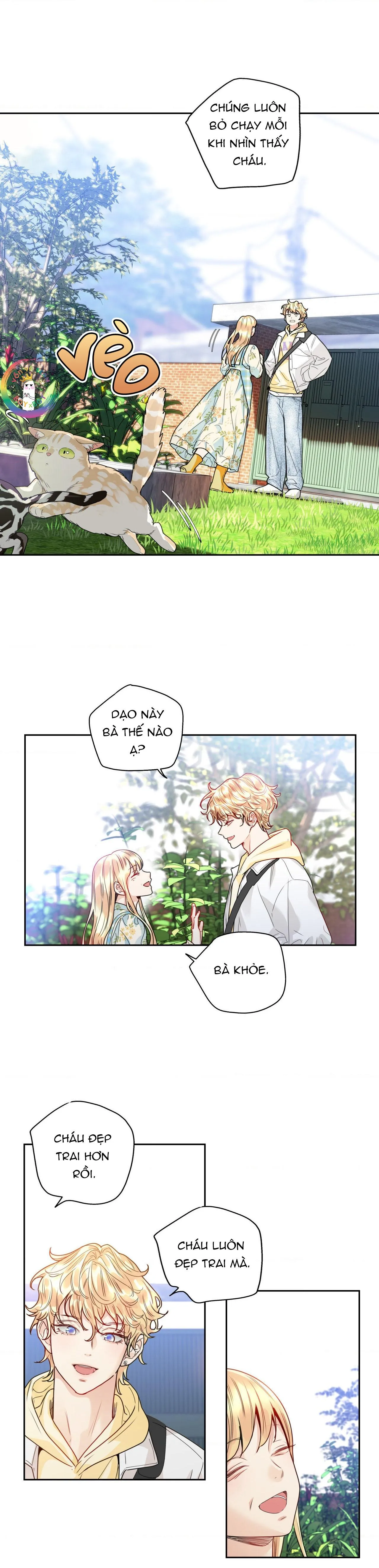 Love is an illusion! Superstar Chapter 4 Trang 14