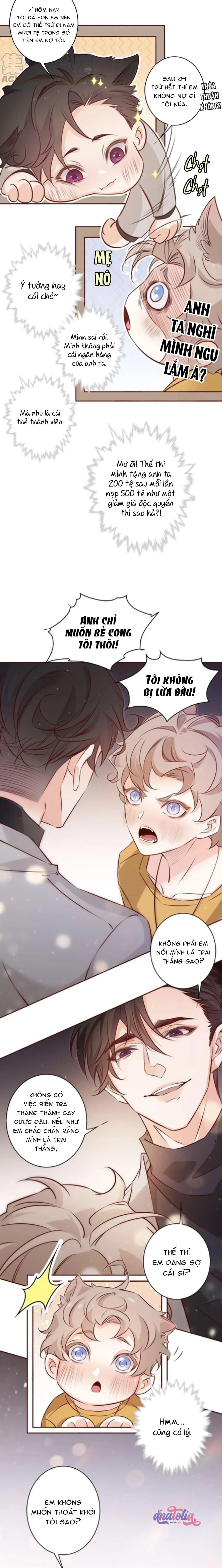 Yêu Em Bất Chấp Chapter 11 Trang 3