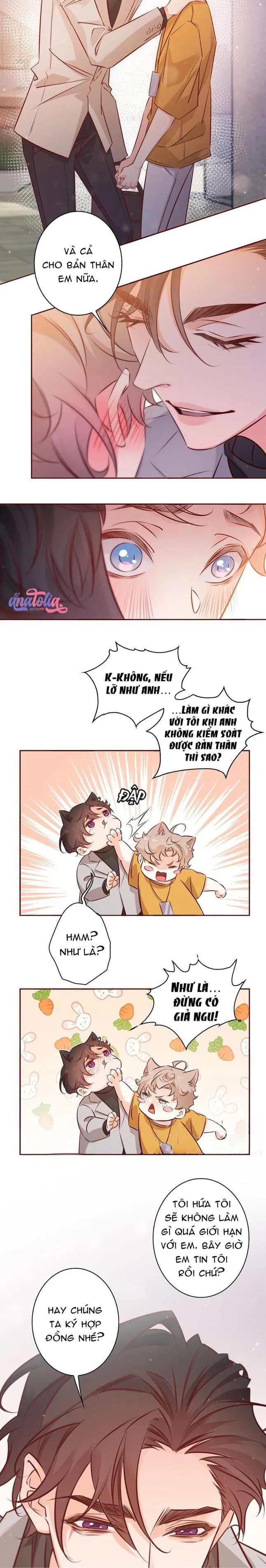 Yêu Em Bất Chấp Chapter 11 Trang 6