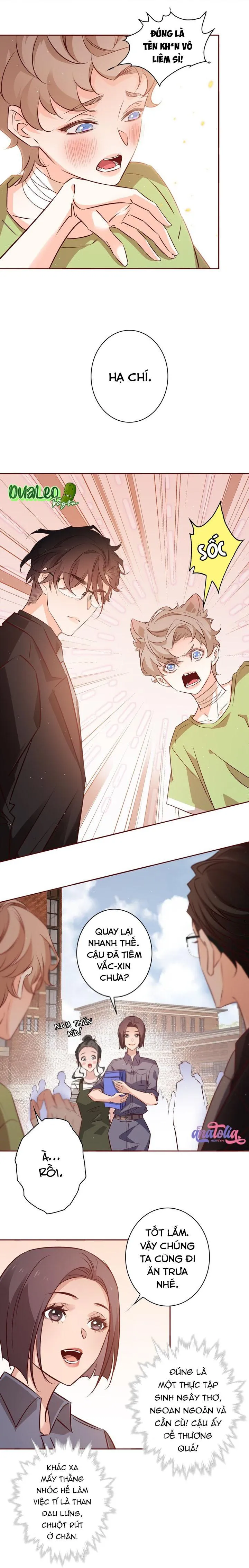 Yêu Em Bất Chấp Chapter 19 Trang 5