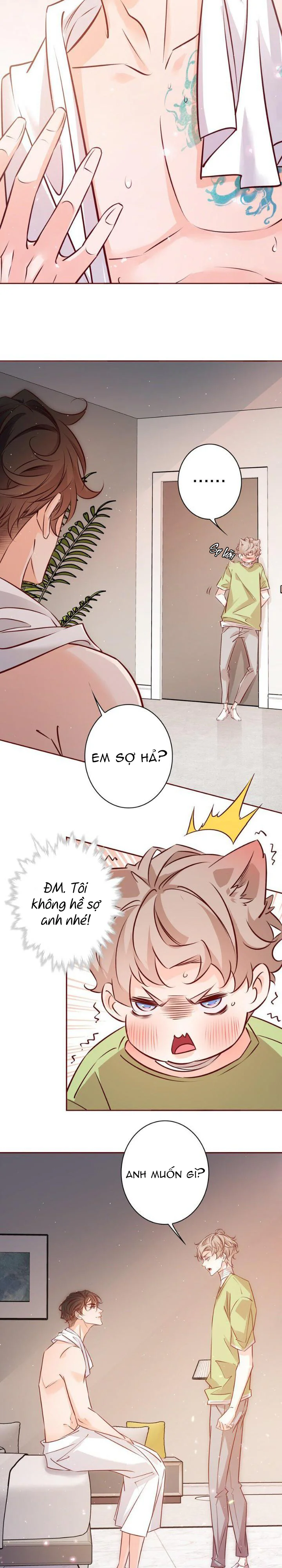 Yêu Em Bất Chấp Chapter 22 Trang 5