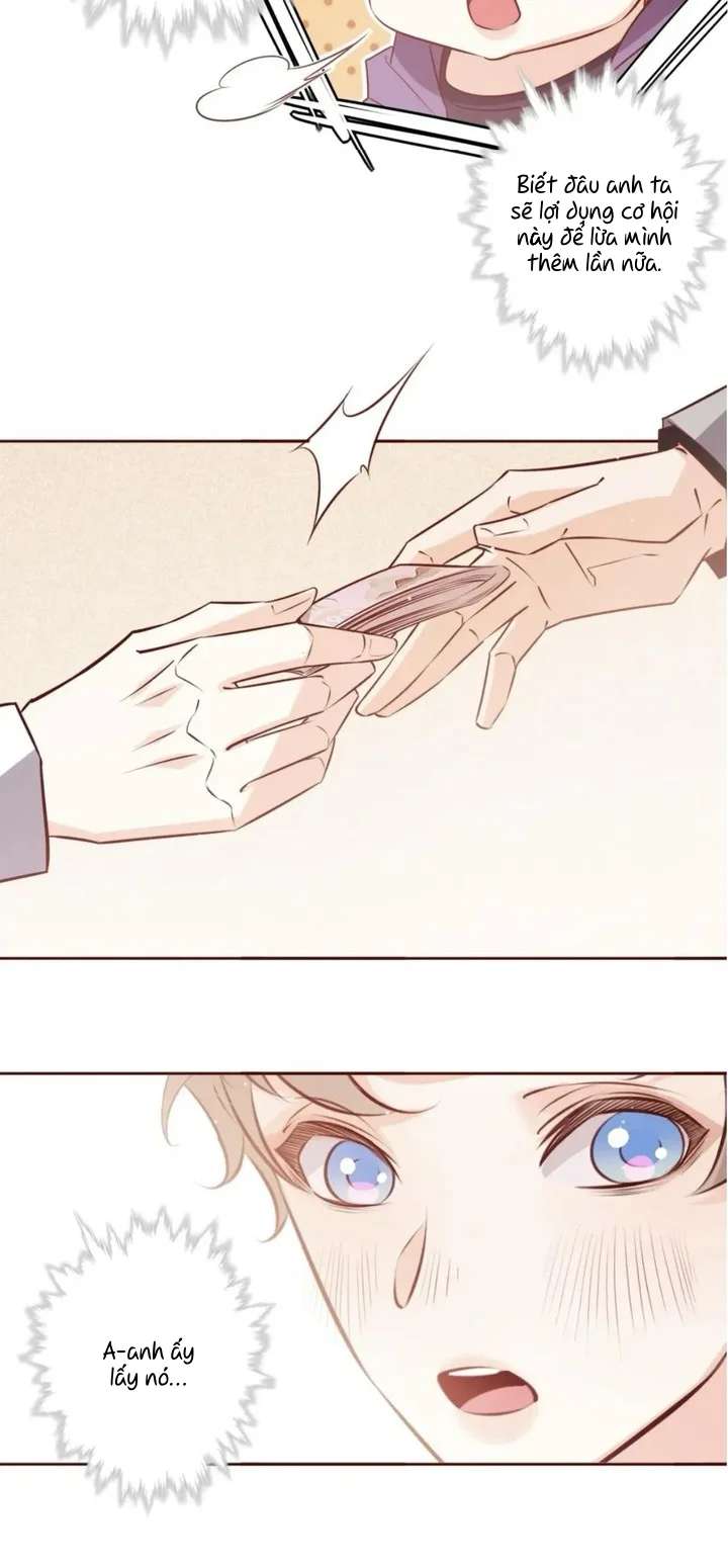 Yêu Em Bất Chấp Chapter 33 Trang 3