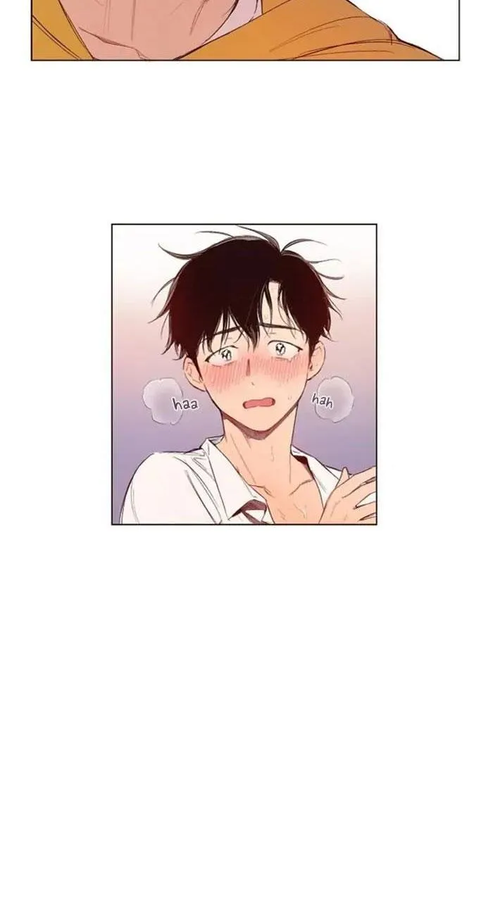 Love Me Dramatically Chapter 3 Trang 31