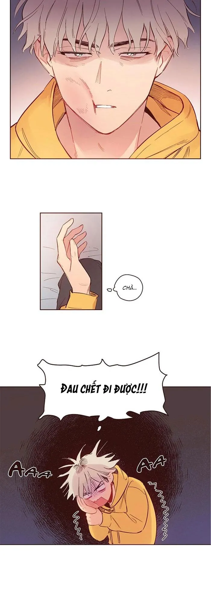 Love Me Dramatically Chapter 5 Trang 3