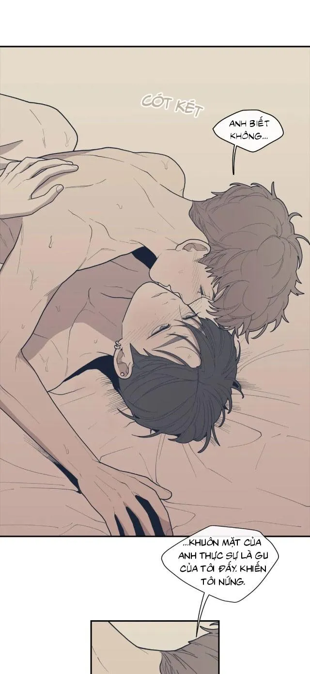 Tình Yêu Hay Thù Hận Chapter 28 Trang 17