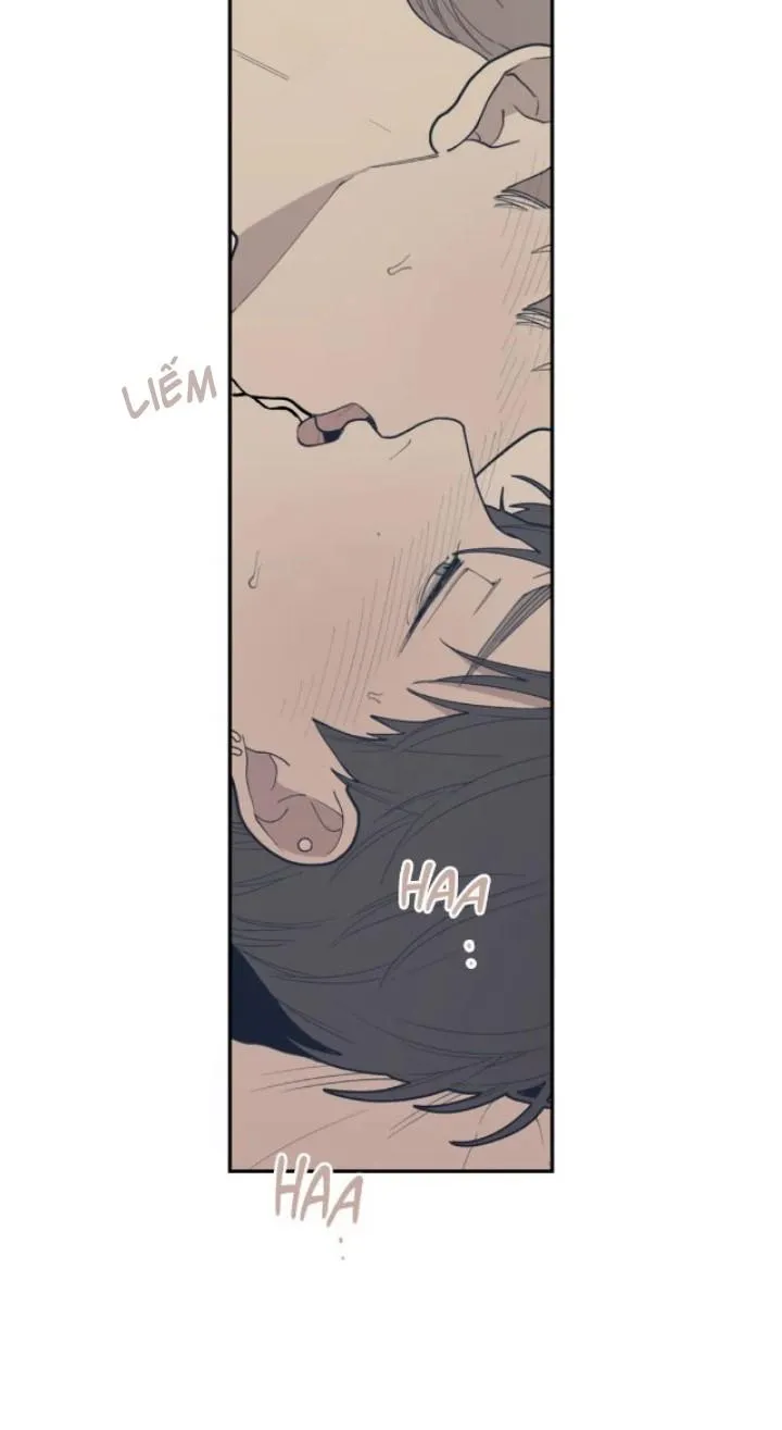 Tình Yêu Hay Thù Hận Chapter 28 Trang 18