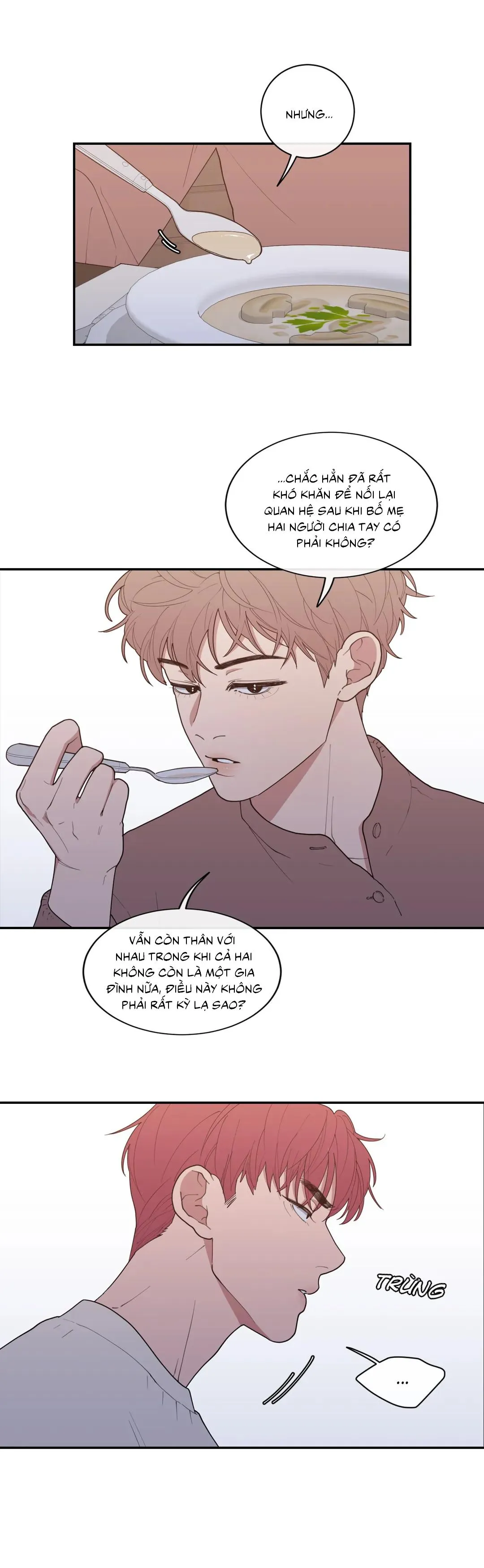 Tình Yêu Hay Thù Hận Chapter 54 Trang 13