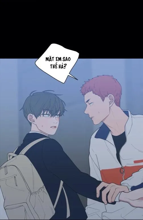 Tình Yêu Hay Thù Hận Chapter 72 Trang 57