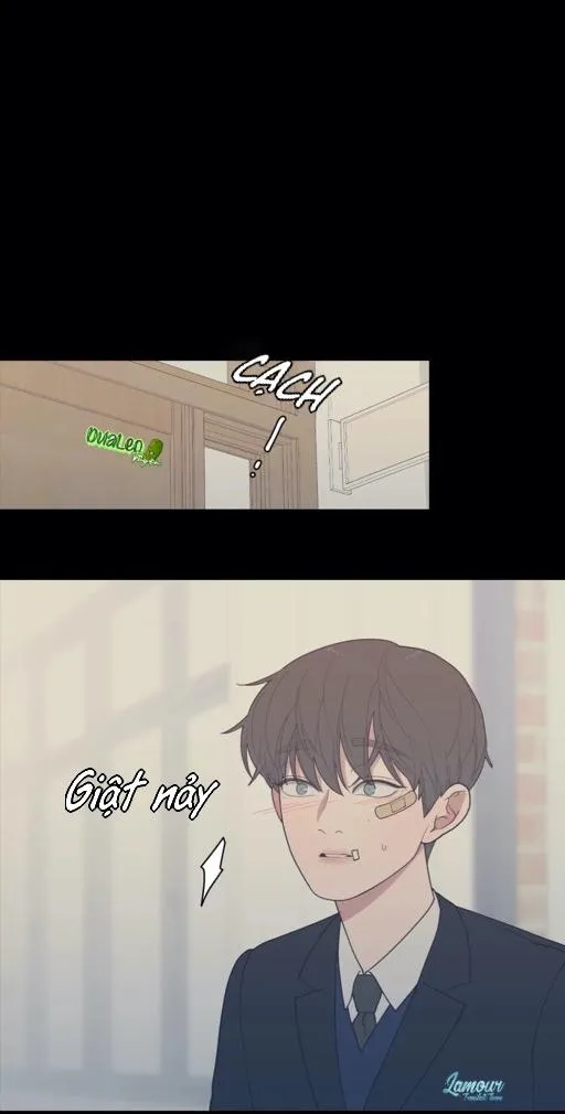 Tình Yêu Hay Thù Hận Chapter 73 Trang 20