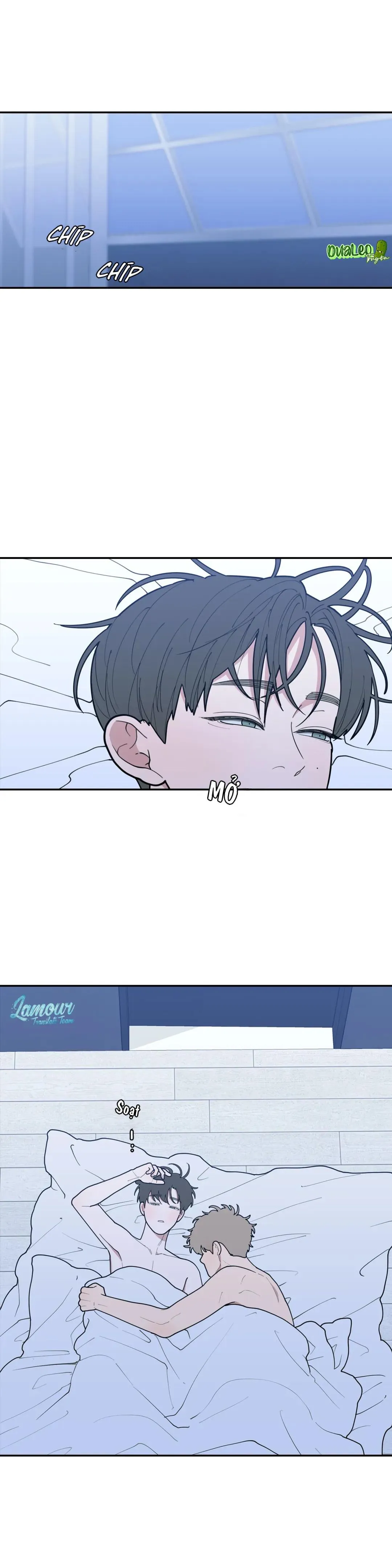 Tình Yêu Hay Thù Hận Chapter 80 Trang 3