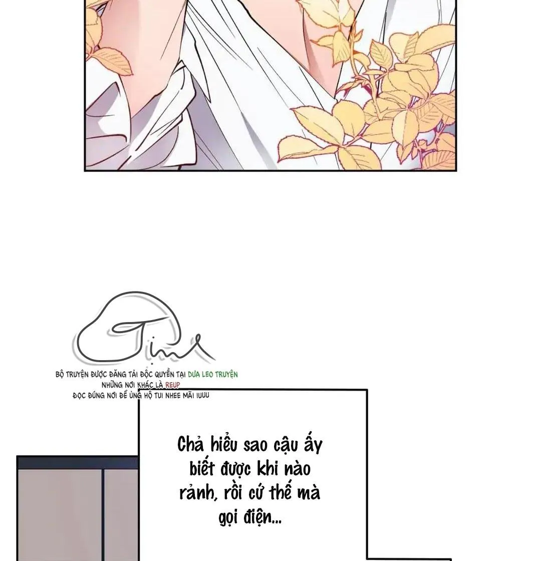 Love plan Chapter 6 Trang 5