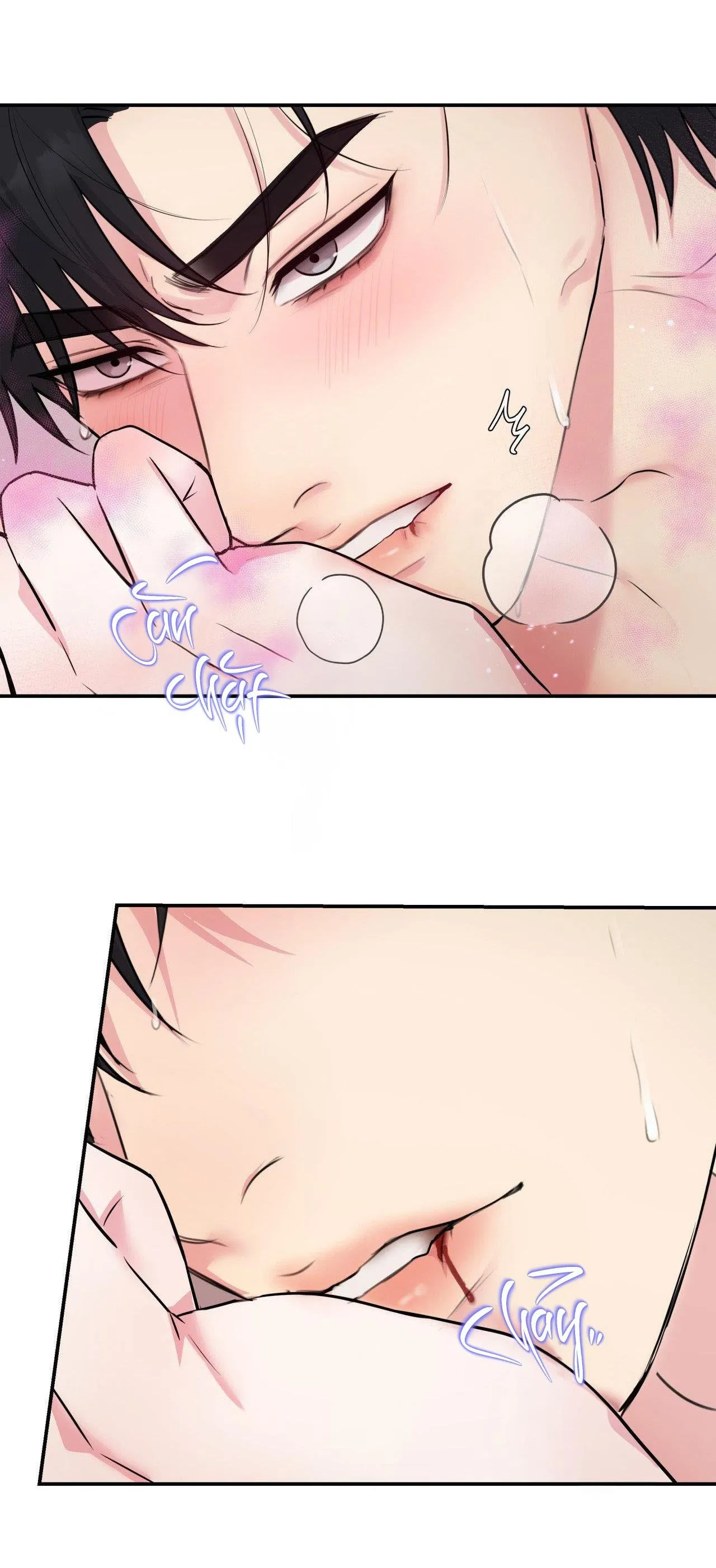 Love Remedy Chapter 10 Trang 70