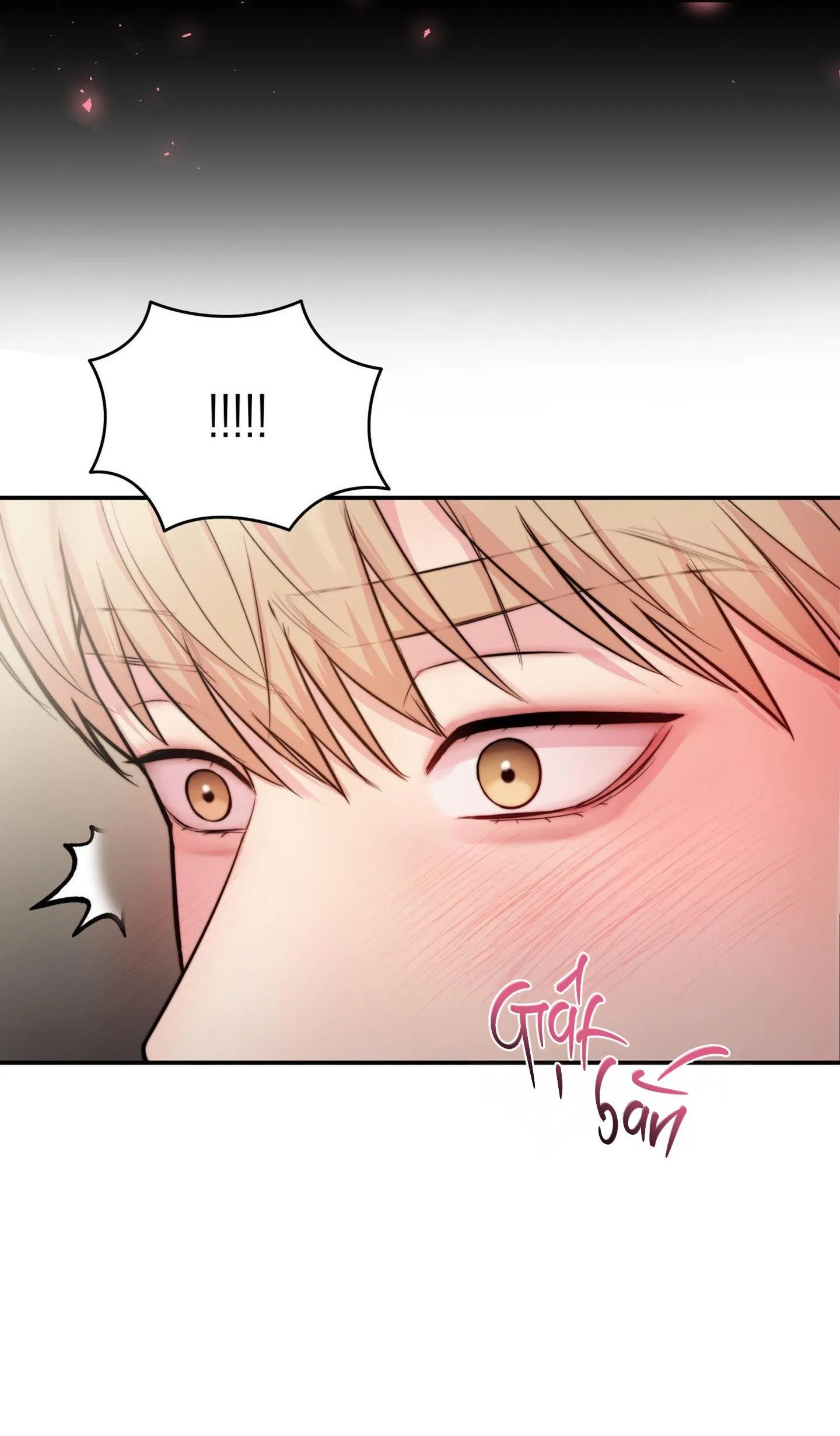 Love Remedy Chapter 20 Trang 19