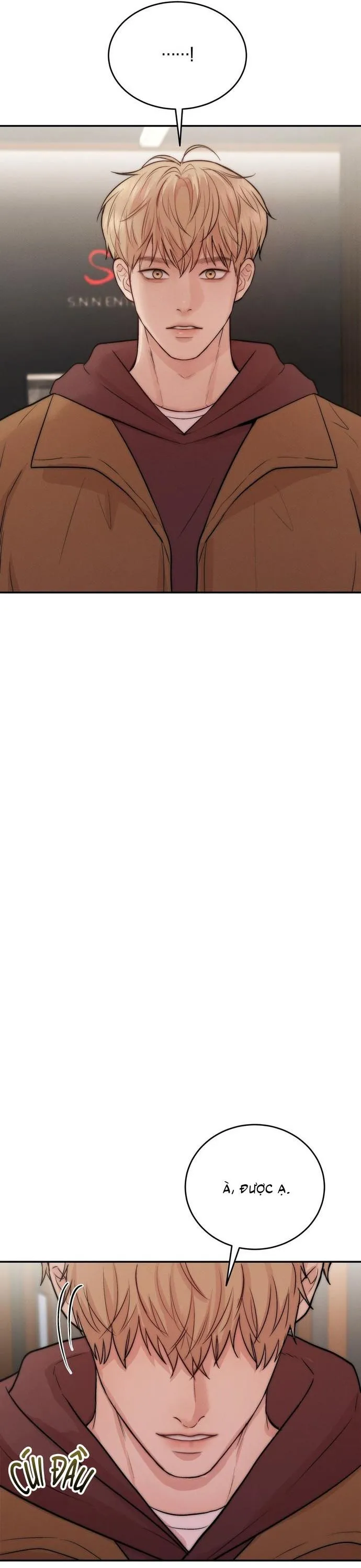 Love Remedy Chapter 30 Trang 8