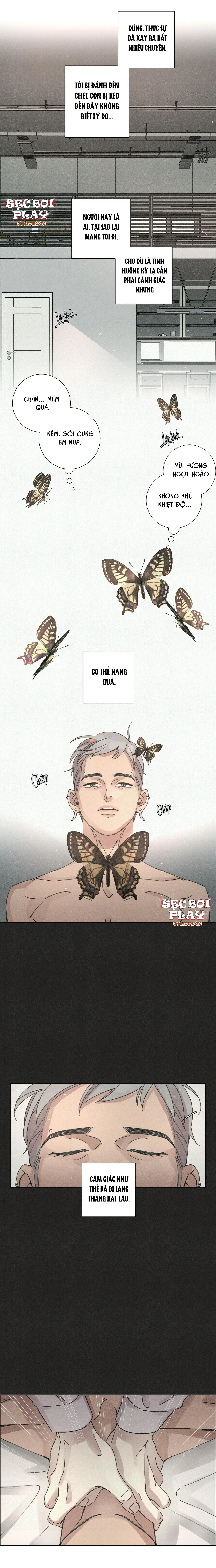 LOVE SICK DOG Chapter 2 Trang 5