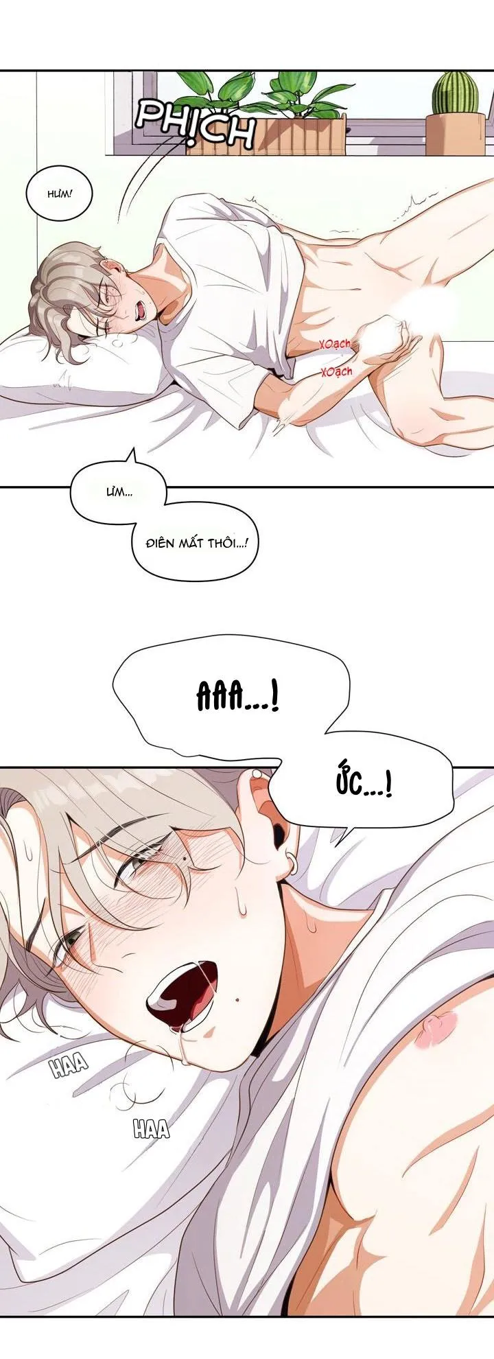 |DROP| Love So Pure Chapter 2 Trang 4