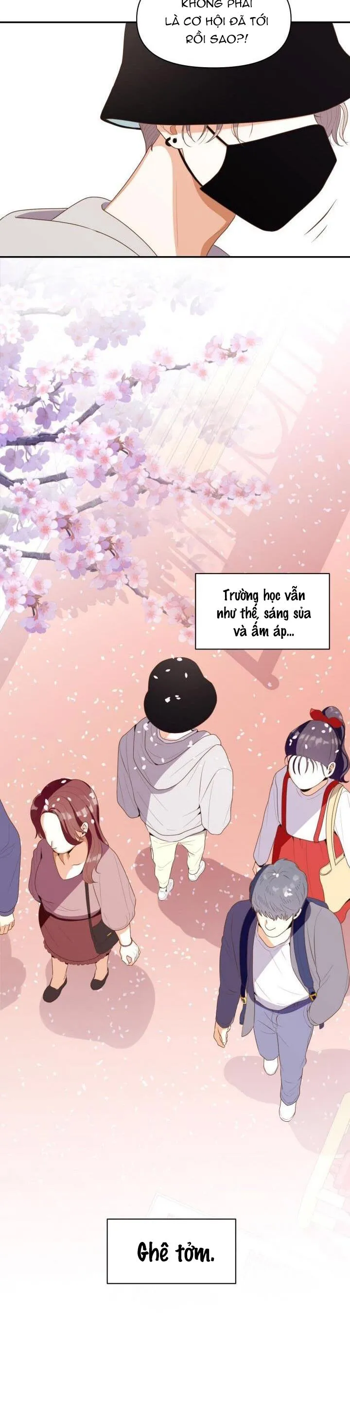 |DROP| Love So Pure Chapter 1 Trang 22