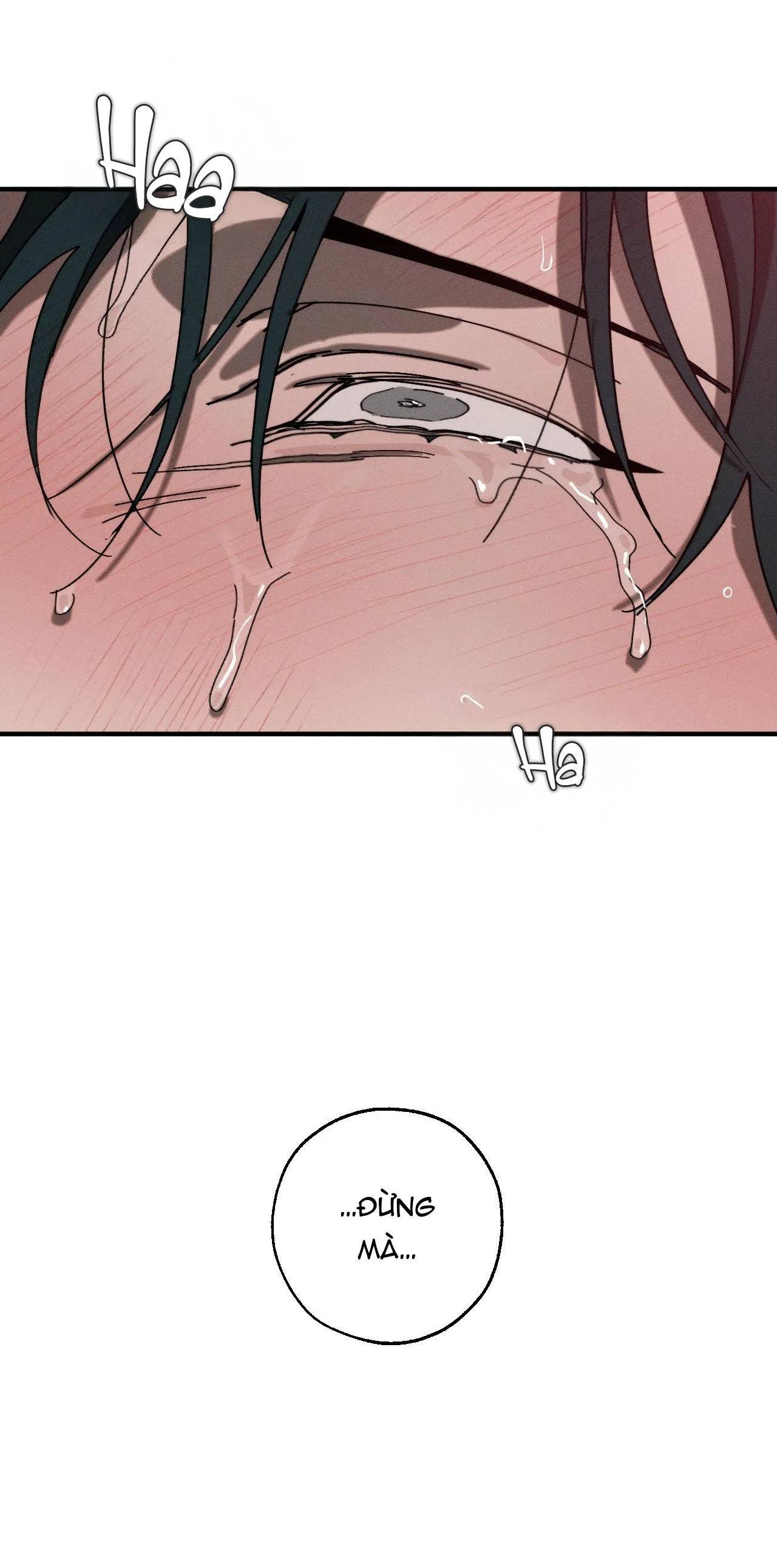 LỬA TÌNH BỐC CHÁY Chapter 17 Trang 22