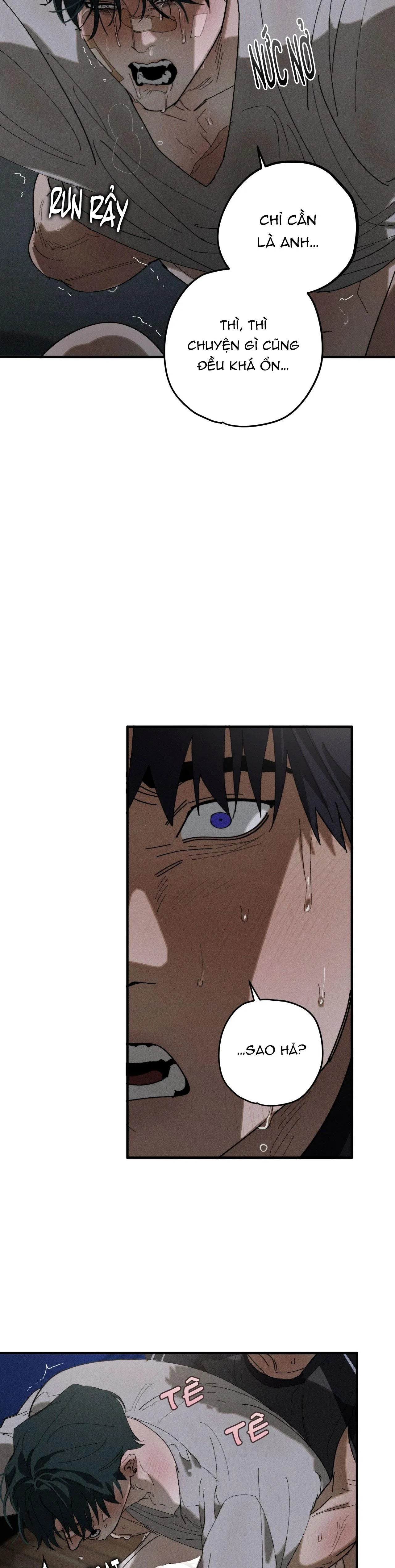 LỬA TÌNH BỐC CHÁY Chapter 24 Trang 12