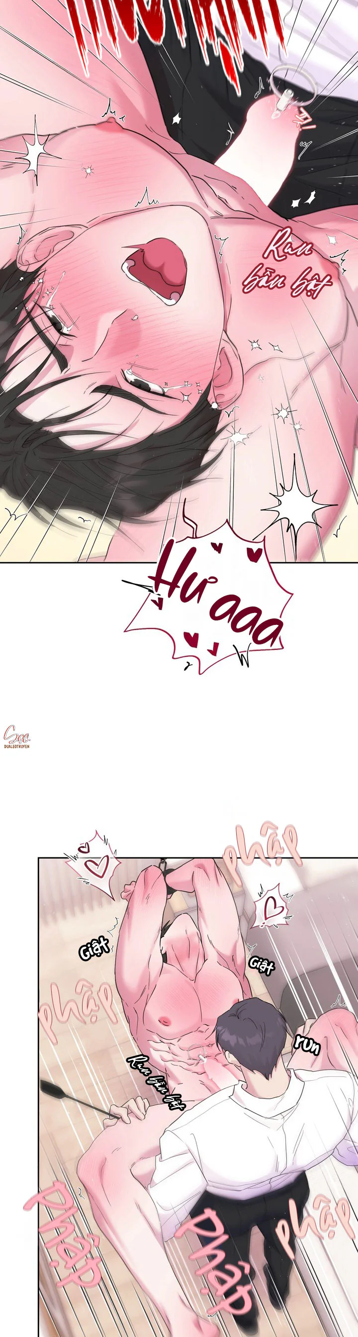 LUẬN VĂN BODY CỦA GIÁO SƯ Chapter 11 Trang 13