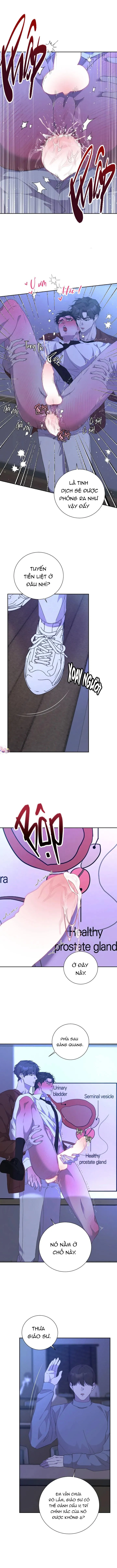 Luận Văn Cơ Thể Của Giáo Sư Chapter 5 Trang 5