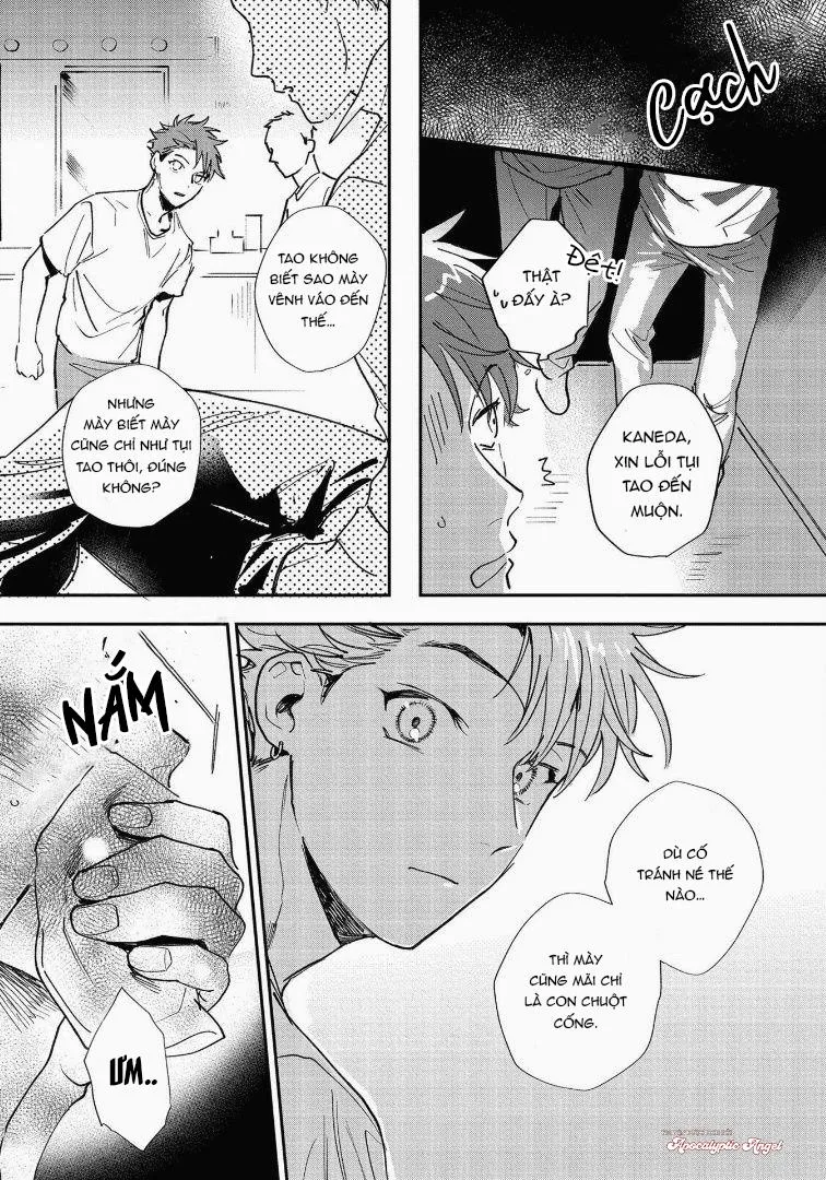 Lưu Manh Và Viên Tuần Tra Đêm Chapter 4 Trang 13