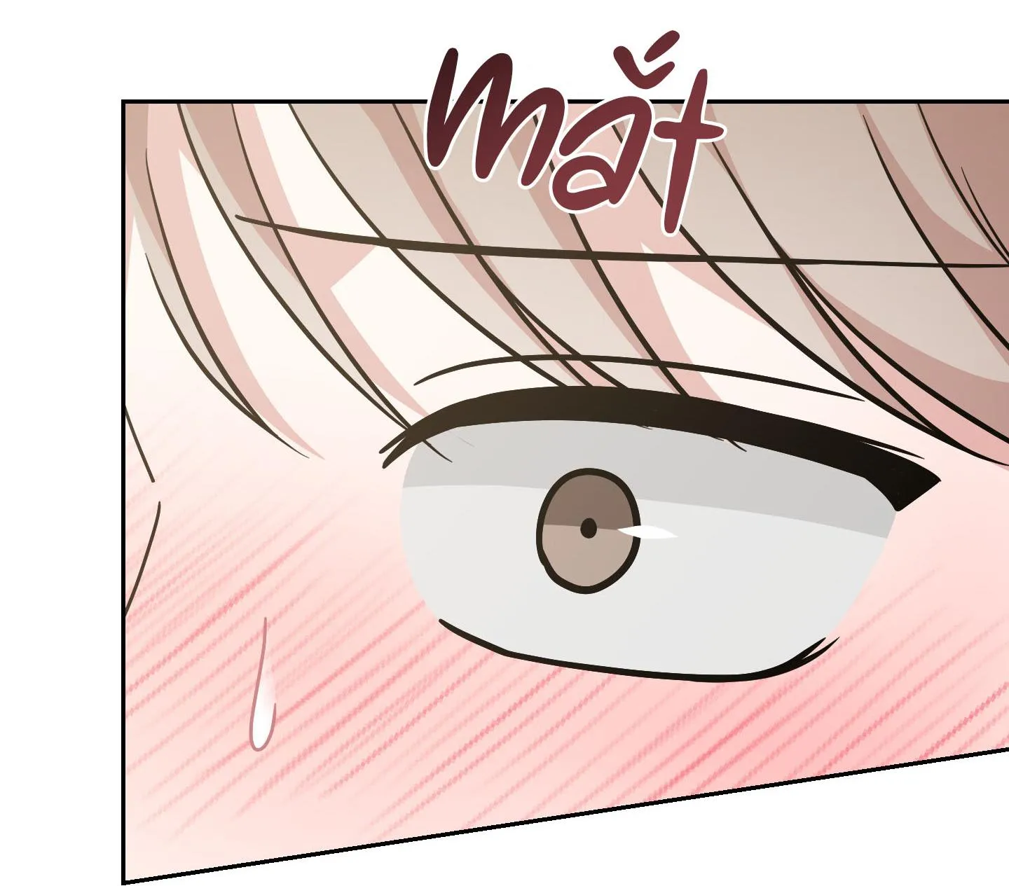 HOÀN CẢNH KHÔNG THỂ TRÁNH Chapter 11 Trang 5