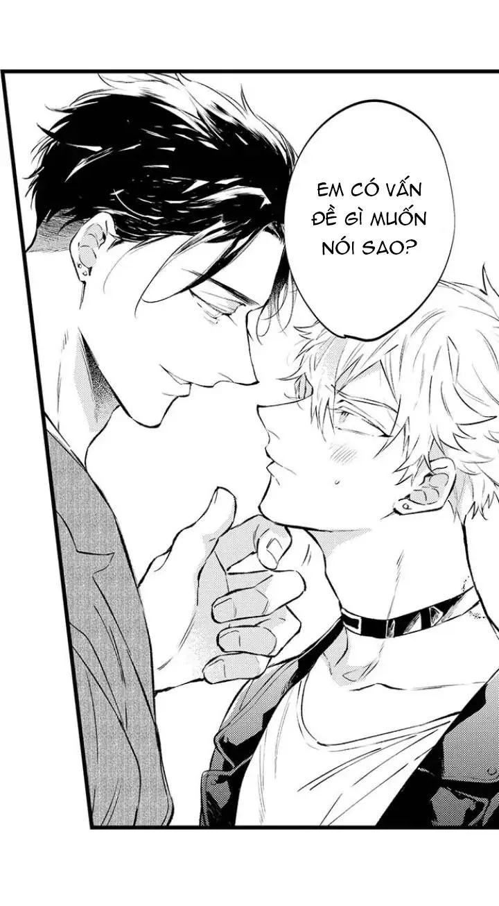Ly Hôn Đi, Hỡi Ngài Alpha Chapter 2 Trang 28