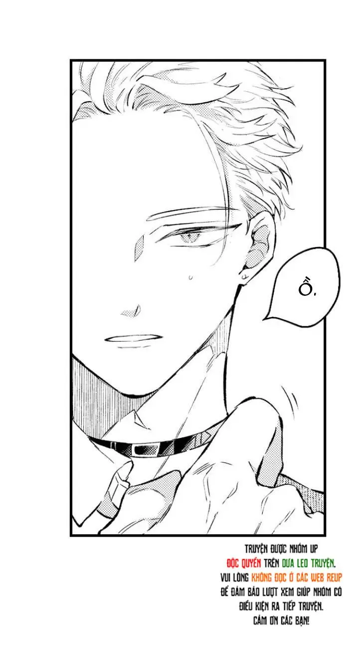 Ly Hôn Đi, Hỡi Ngài Alpha Chapter 3 Trang 12