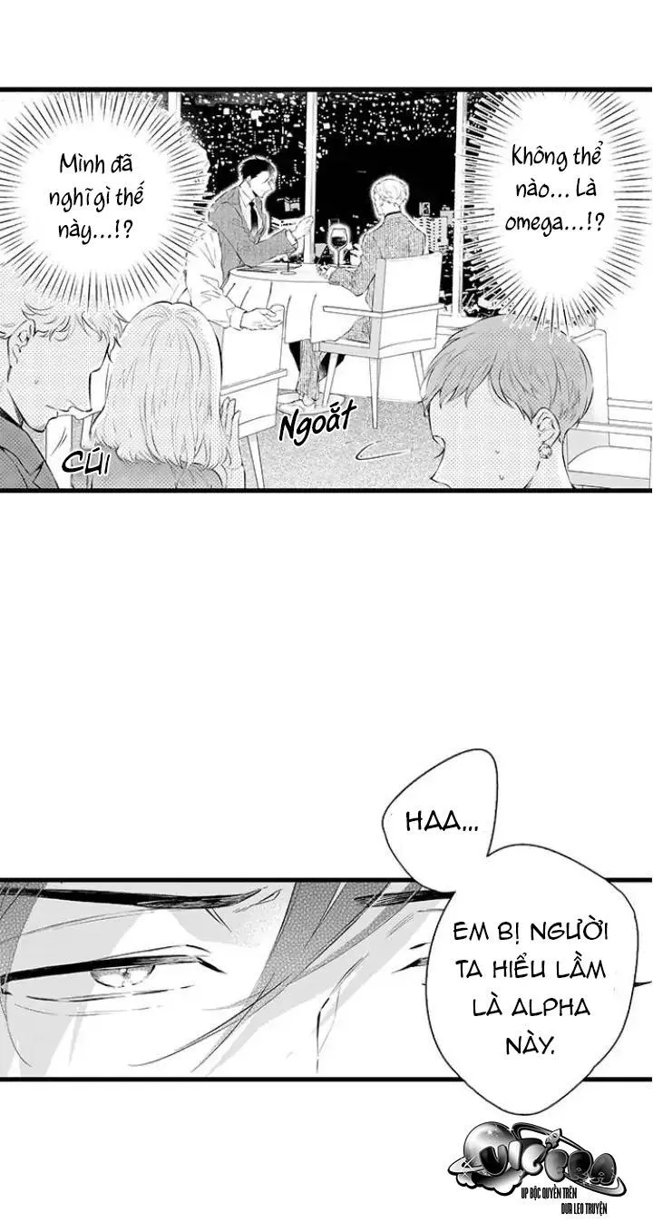 Ly Hôn Đi, Hỡi Ngài Alpha Chapter 3 Trang 14