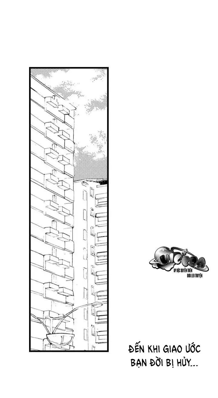 Ly Hôn Đi, Hỡi Ngài Alpha Chapter 3 Trang 29