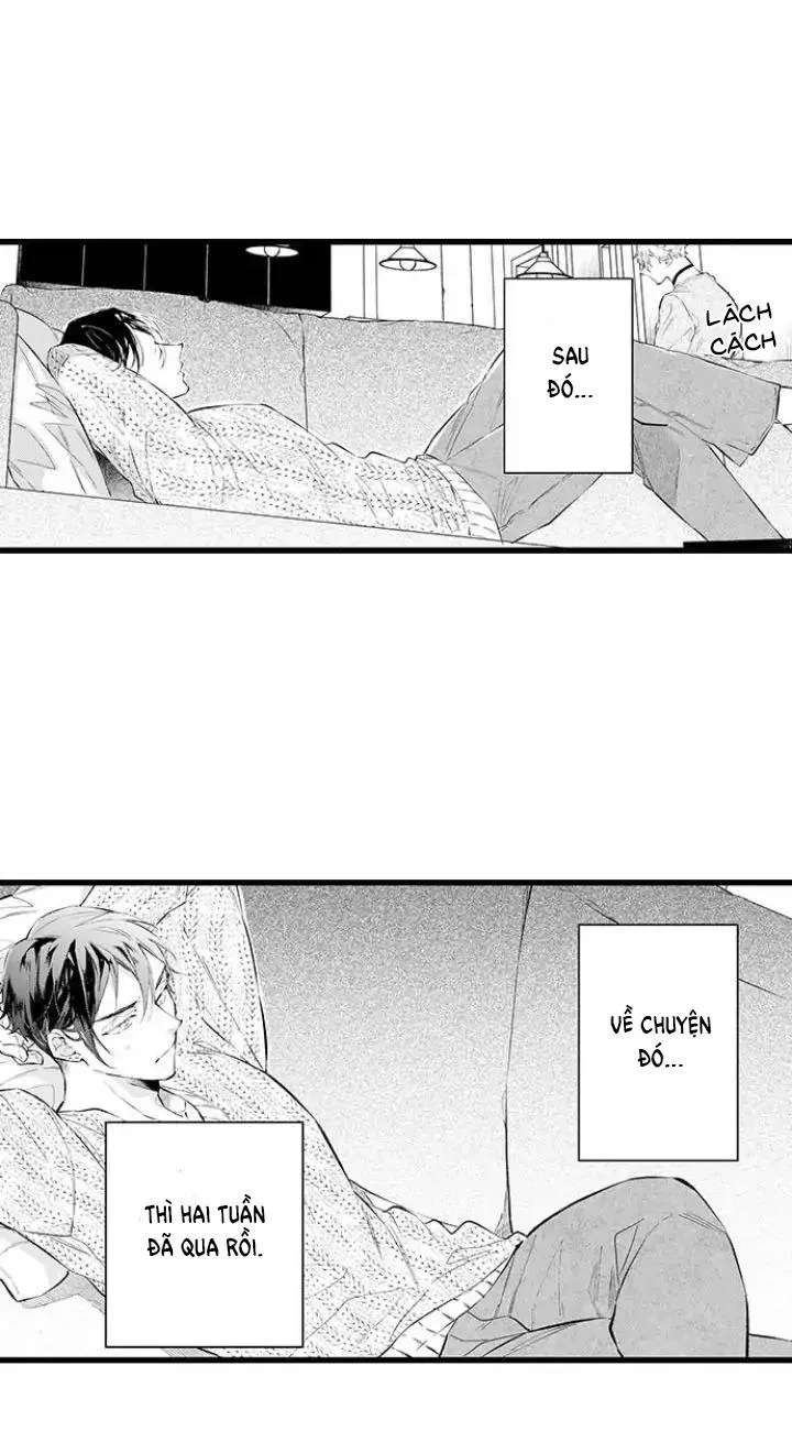 Ly Hôn Đi, Hỡi Ngài Alpha Chapter 4 Trang 15