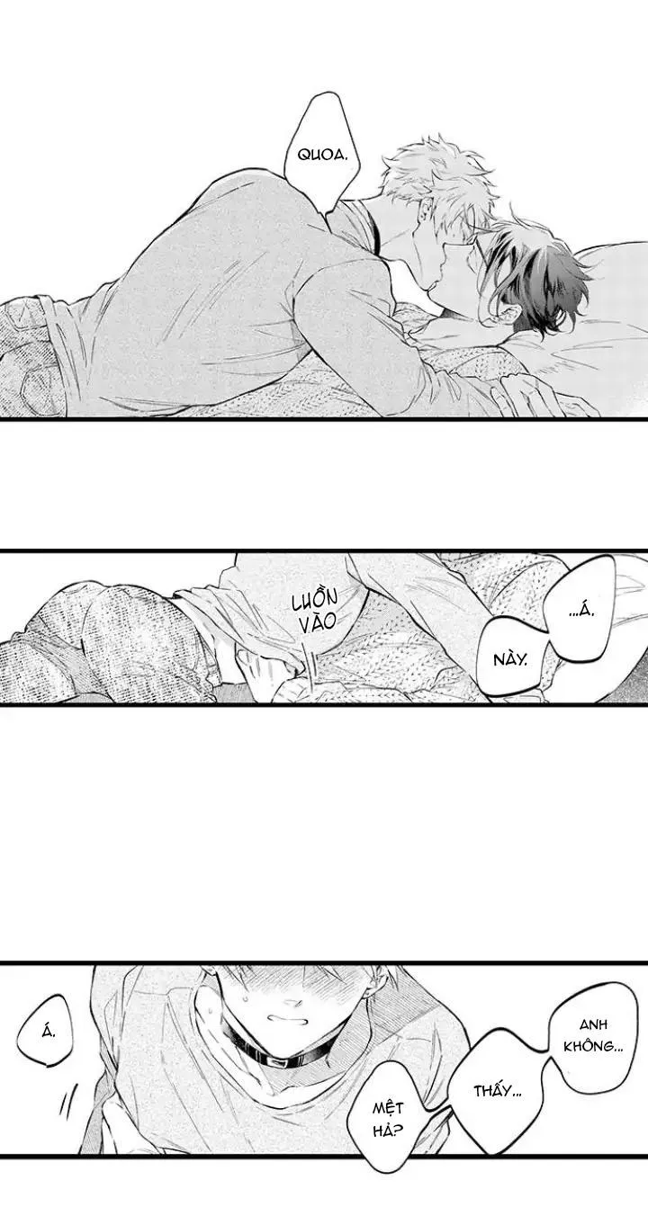 Ly Hôn Đi, Hỡi Ngài Alpha Chapter 4 Trang 20