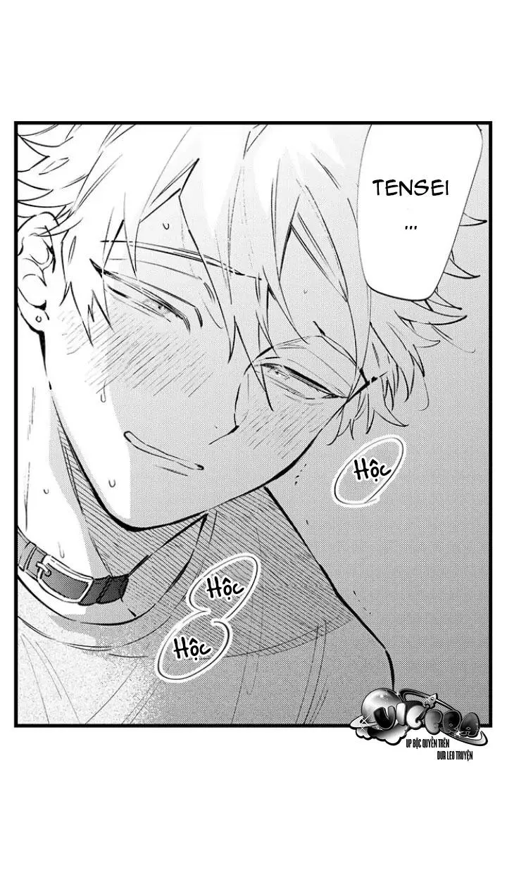Ly Hôn Đi, Hỡi Ngài Alpha Chapter 5 Trang 5