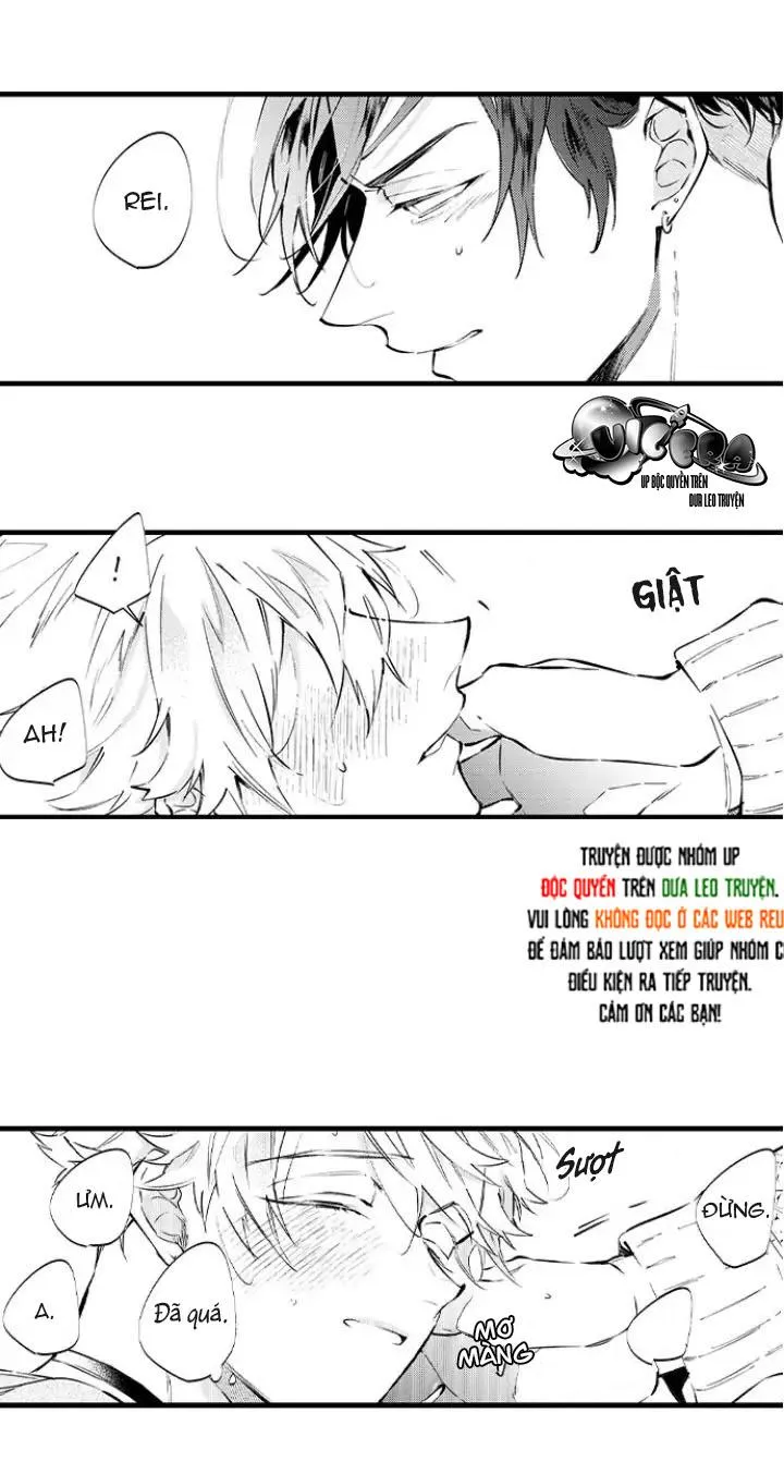 Ly Hôn Đi, Hỡi Ngài Alpha Chapter 5 Trang 15