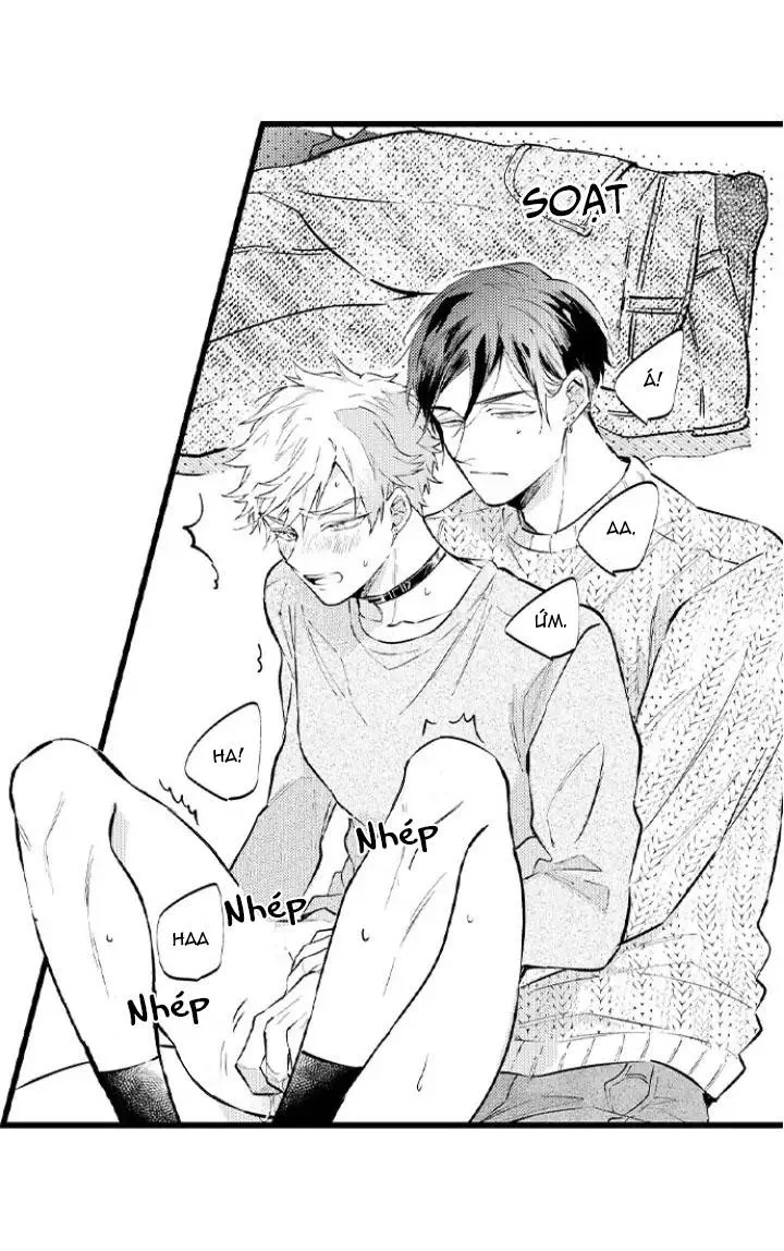 Ly Hôn Đi, Hỡi Ngài Alpha Chapter 5 Trang 19