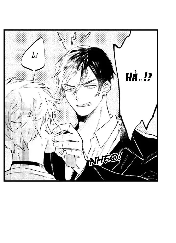 Ly Hôn Đi, Hỡi Ngài Alpha Chapter 6 Trang 8
