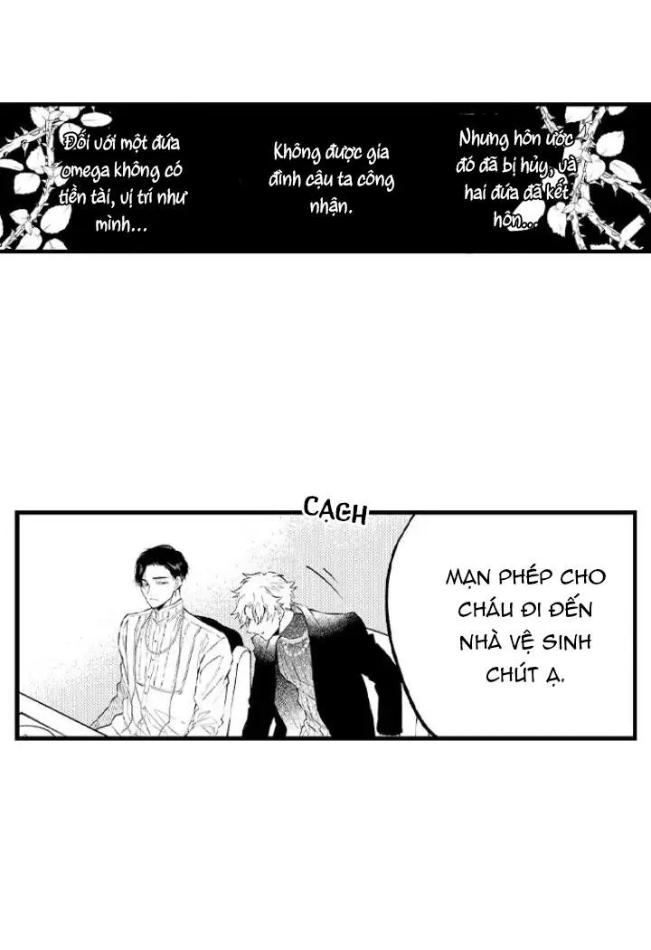 Ly Hôn Đi, Hỡi Ngài Alpha Chapter 6 Trang 27