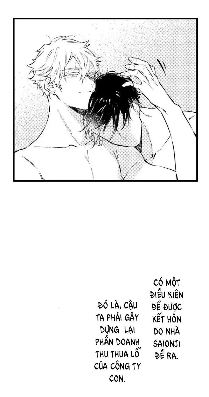 Ly Hôn Đi, Hỡi Ngài Alpha Chapter 7 Trang 22