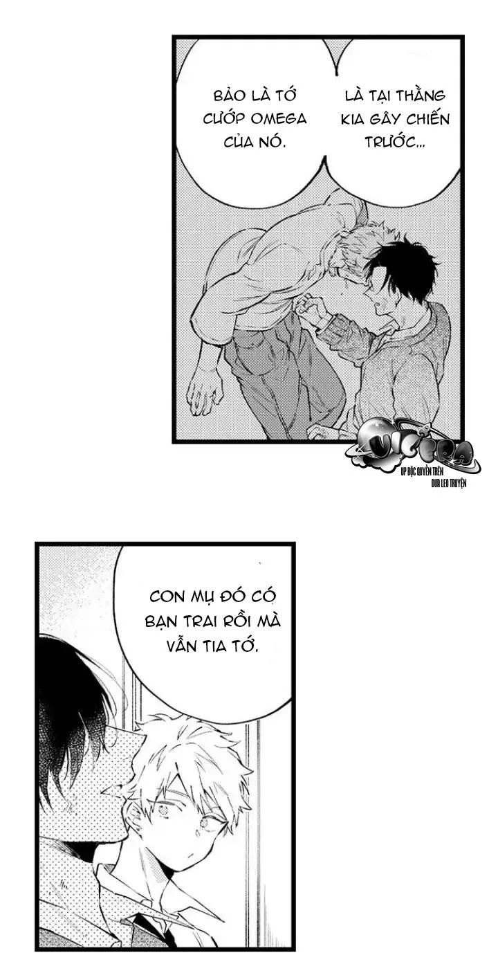 Ly Hôn Đi, Hỡi Ngài Alpha Chapter 8 Trang 4