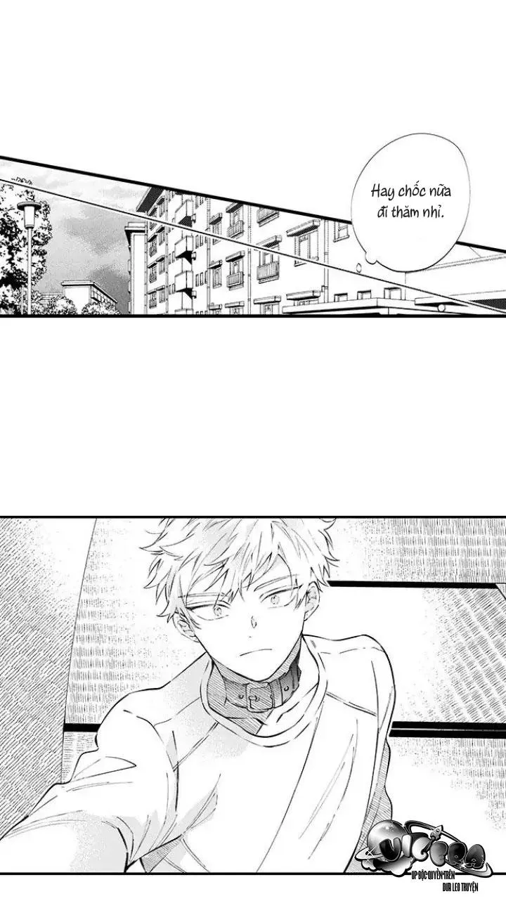 Ly Hôn Đi, Hỡi Ngài Alpha Chapter 8 Trang 25