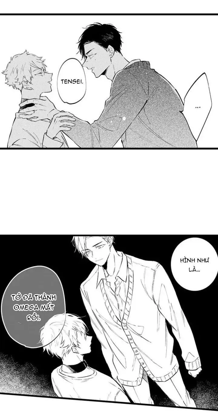 Ly Hôn Đi, Hỡi Ngài Alpha Chapter 9 Trang 3